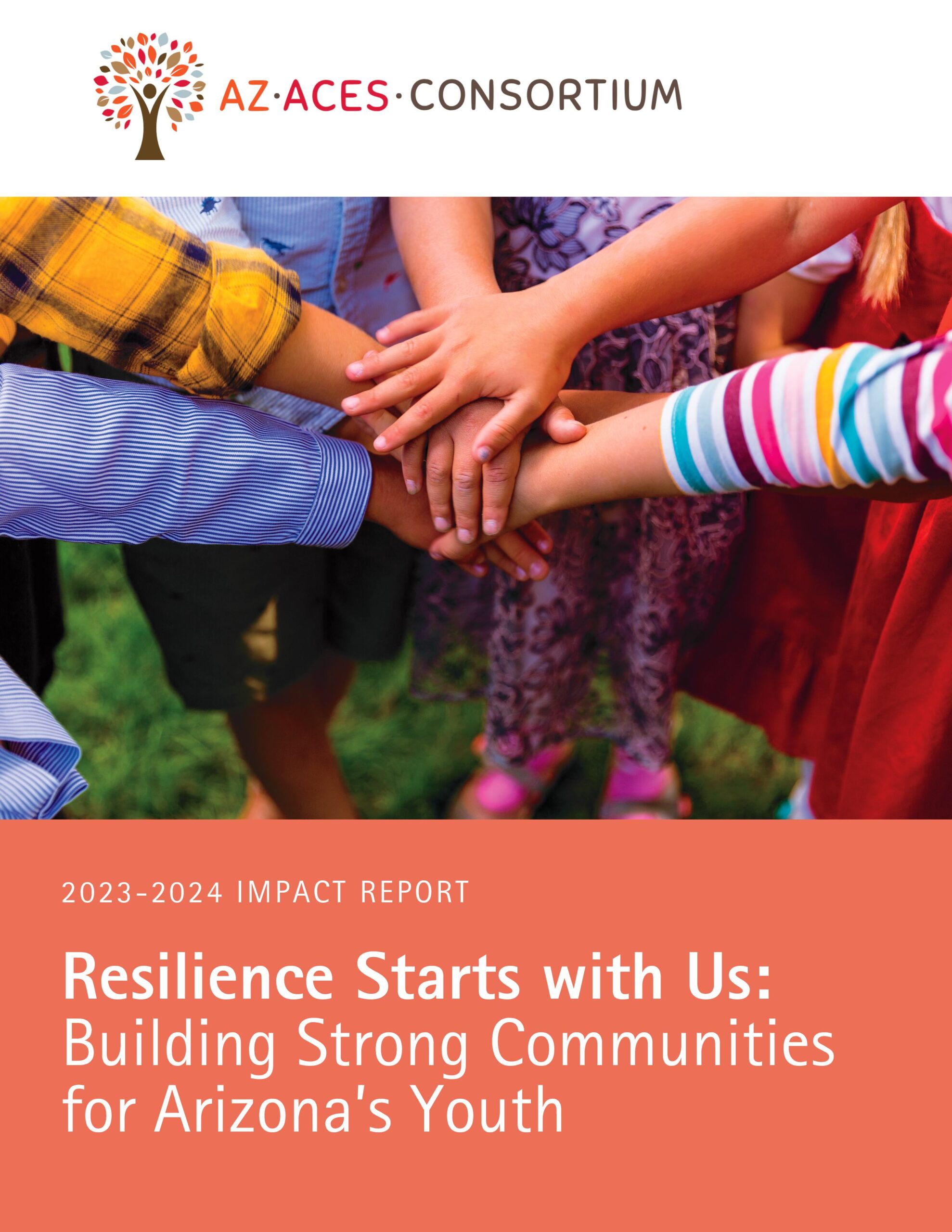 AZACEs Impact Report 2024-images-0